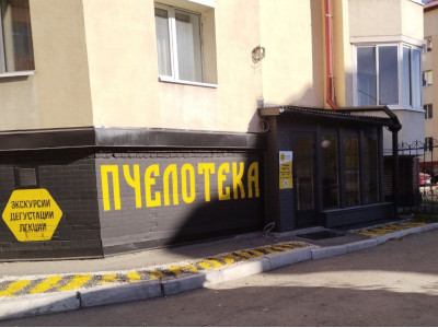 Приглашаем в мир пчёл! Увлекательные экскурсии для школьников и дошколят в Музее меда и томского пчеловодства «Пчелотека»